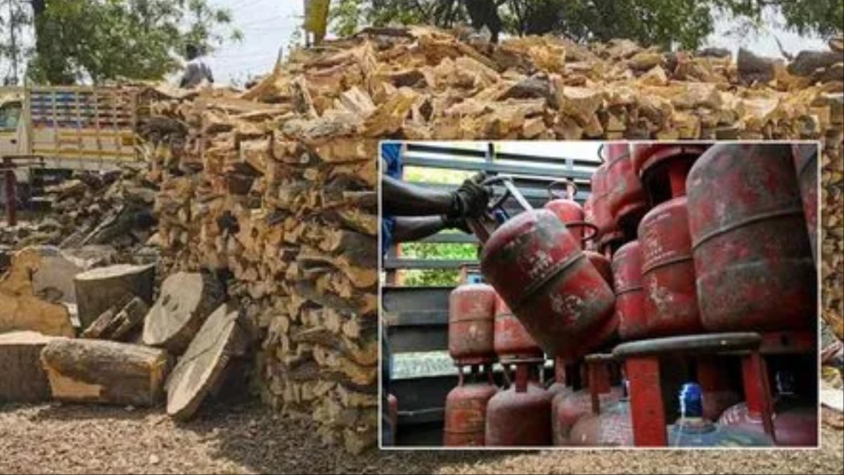 karnataka govt alerts forest